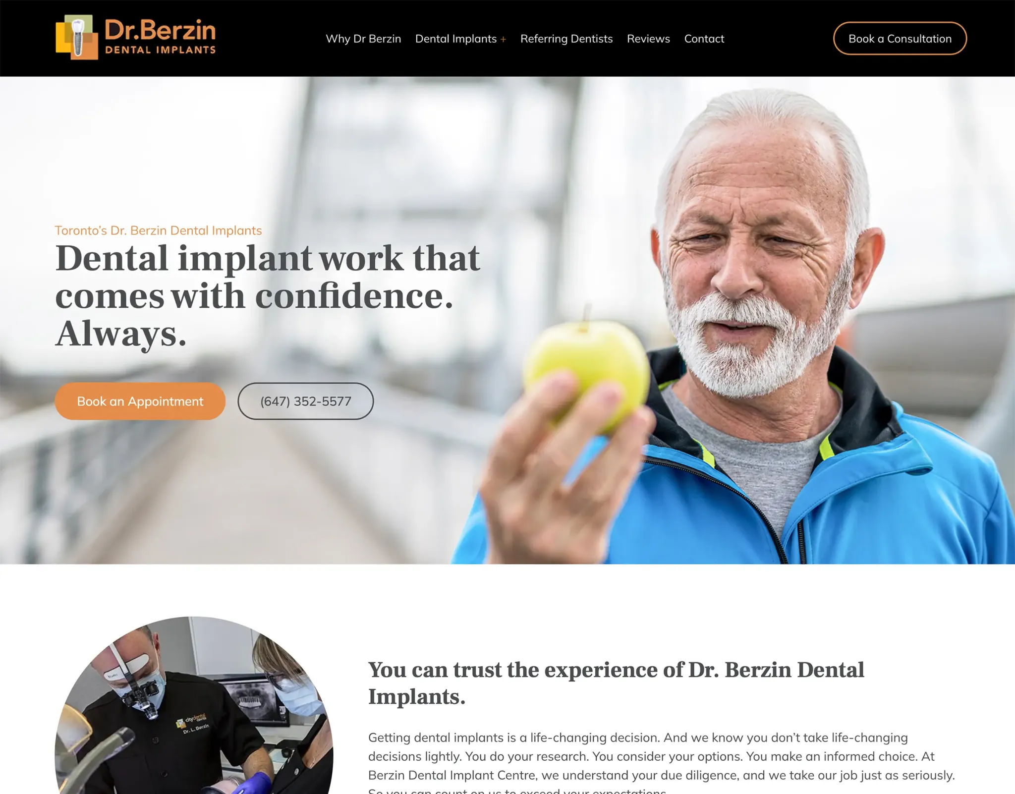 Dr. Berzin Dental Implants Website